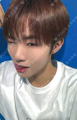 Cut-Out DEAR MY MUSE WONJUN photocard image