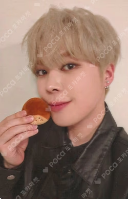 Lost and Found EVERLINE