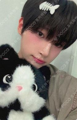 ONE FACT Hellolive shop Ye Dam photocard image