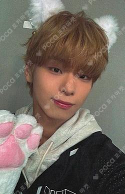 Trophy INTERASIA Kim Do Gyun photocard image