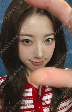 Lovestruck EVERLINE RIINA photocard image