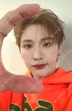 UPSIDE DOWN EVERLINE