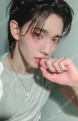 Butterfly EVERLINE Chael photocard image