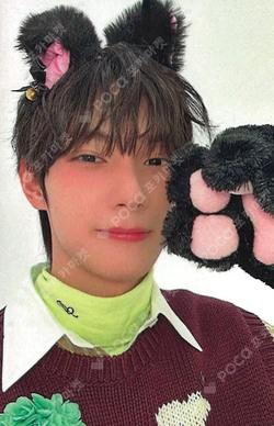 Sweet Dream INTERASIA