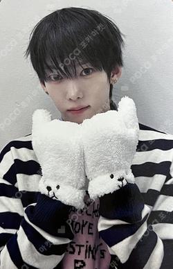 LOUD & PROUD DEAR MY MUSE KAMDEN photocard image