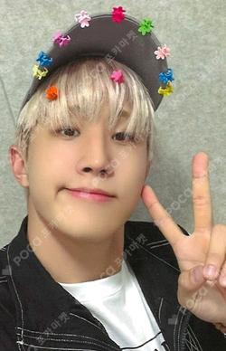 DICE EVERLINE JINJIN photocard image