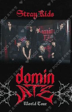 Stray Kids World Tour dominATE JAPAN PHOTO CARD CASE Unit photocard image