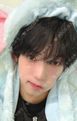 LOUD & PROUD EVERLINE KAMDEN photocard image