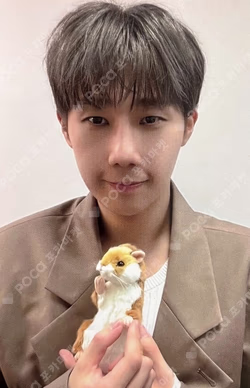 13egin KimSungKyu photocard image