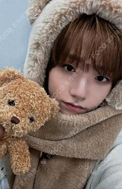 PUSH BACK Hellolive shop