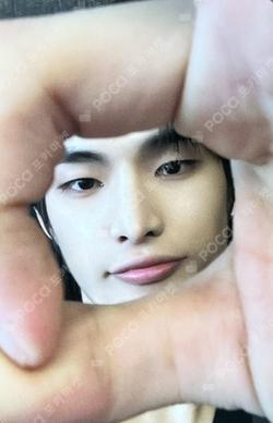 82MAJOR 5th CONCERT [BEBEOM : BE THE TIGER] LEOPARD SCRUNCHIE