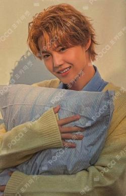 2026 SEASON'S GREETINGS MINI POP-UP DOYOUNG photocard image