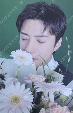 REVERXE Big SMini Ver. SEHUN photocard image