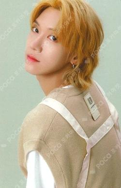 2024 SEASON'S GREETINGS PHOTO PACK