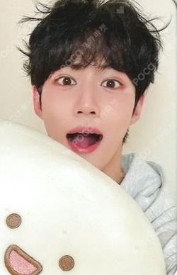 LOST DEAR MY MUSE Ian photocard image