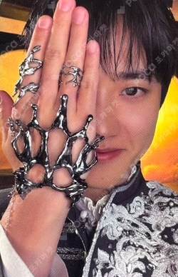 REVERXE EX-VISION Ver. D.O. photocard image