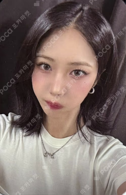 A Montage of ( ) WILLMUSIC WINNER