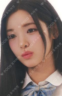 TELECA COLLECTION CARD 2025 K-POP ROOKIE PROMOTIONAL CARD YUHA photocard image
