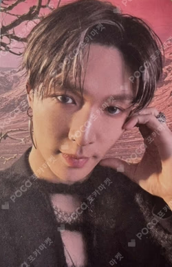 REVERXE PHOTOBOOK Ver. Reverse Ver.