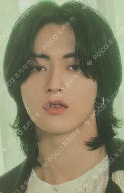 [TP4U] TREASURE TRADING PHOTOCARD HARUTO photocard image