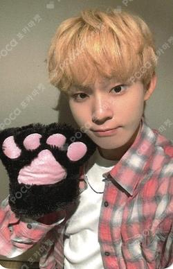 My First Flip SOUND WAVE LUCKY DRAW Keiju photocard image