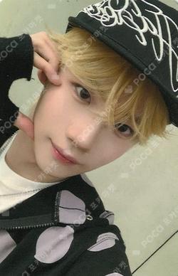 blackout EVERLINE KENSHIN photocard image