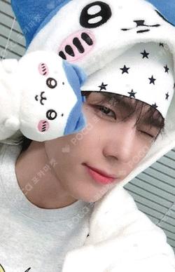 Trophy Hellolive shop