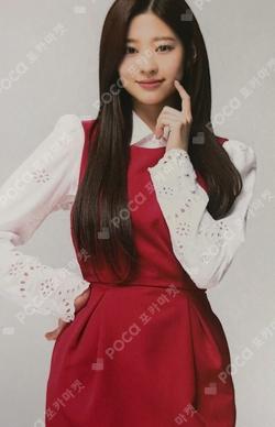 Twelve Random Photocard