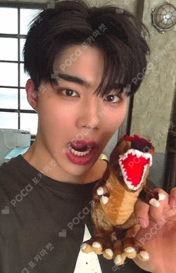 NEVER SAY NEVER SOUND WAVE PARK GUNWOOK photocard image