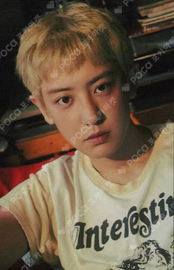 Black Out YPBOOKS CHANYEOL photocard image