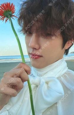 Asteroid LeeSungYeol photocard image