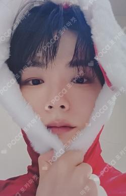 Sunflower DEAR MY MUSE SHINYECHAN photocard image