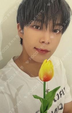 JAPAN FANMEETING [VERI SCHOOL] TRADING CARD DONGHEON photocard image