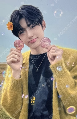 EUPHORIA RANDOM TRADING PHOTO CARD SET (STAR ROAD ver.)