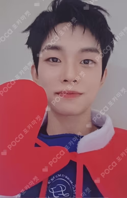 Sunflower DEAR MY MUSE CHOISANGYEOP photocard image