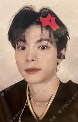 Sunflower DEAR MY MUSE SHINYECHAN photocard image