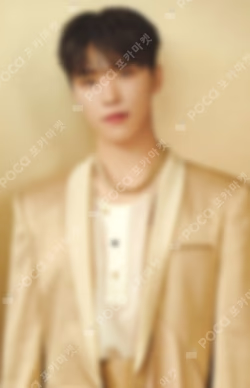 SEVENTEEN RIGHT HERE WORLD TOUR Mini Collect Book Keyring