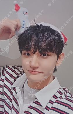 Sunflower DEAR MY MUSE CHOWONSANG photocard image