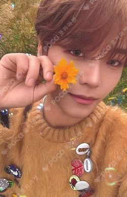 EUPHORIA RANDOM TRADING PHOTO CARD SET (STAR ROAD ver.) XINLONG photocard image