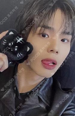 82MAJOR 5th CONCERT [BEBEOM : BE THE TIGER] BUMBUCKi PHOTOCARD HOLDER