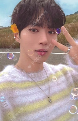 EUPHORIA RANDOM TRADING PHOTO CARD SET (STAR ROAD ver.)