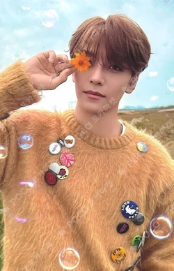 EUPHORIA RANDOM TRADING PHOTO CARD SET (STAR ROAD ver.)