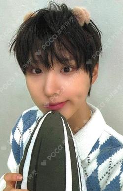 My First Flip APPLEMUSIC