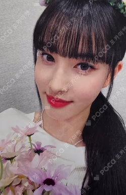 Young-Luv.Com Jewel Case Ver. Withdrama