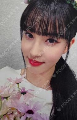 Young-Luv.Com Jewel Case Ver. Withdrama Yoon photocard image