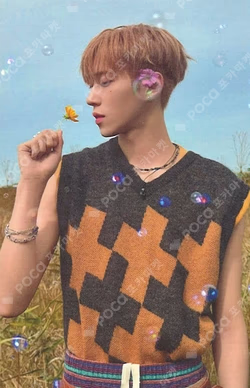 EUPHORIA RANDOM TRADING PHOTO CARD SET (STAR ROAD ver.)