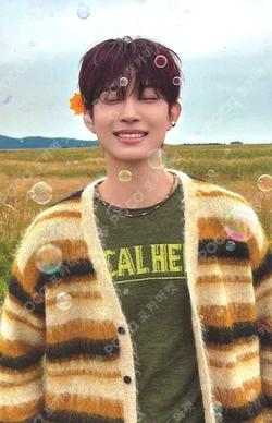 EUPHORIA RANDOM TRADING PHOTO CARD SET (STAR ROAD ver.) GEONWOO photocard image