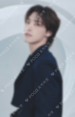 SEVENTEEN WORLD TOUR [NEW_] IN JAPAN PHOTO CARD DINO photocard image