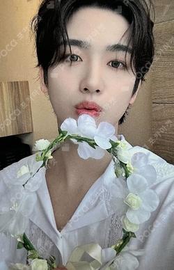 Love Pt.3 : Eternally SOUND WAVE KIMYOHAN photocard image