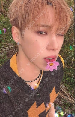 EUPHORIA RANDOM TRADING PHOTO CARD SET (STAR ROAD ver.)